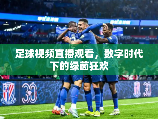 足球视频直播观看，数字时代下的绿茵狂欢