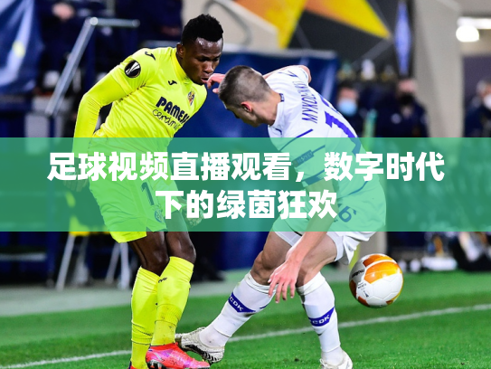 足球视频直播观看，数字时代下的绿茵狂欢