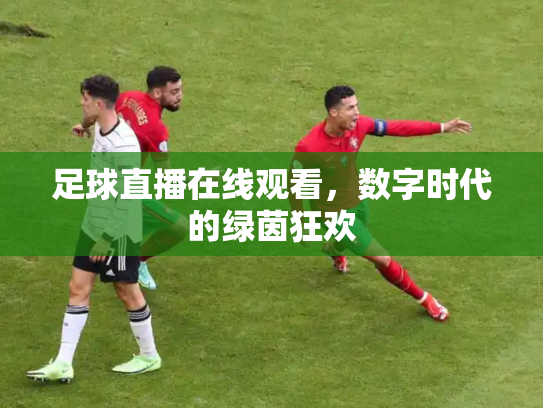 足球直播在线观看，数字时代的绿茵狂欢