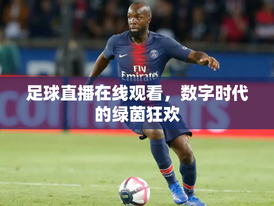 足球直播在线观看，数字时代的绿茵狂欢