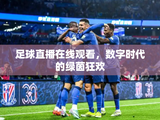 足球直播在线观看，数字时代的绿茵狂欢