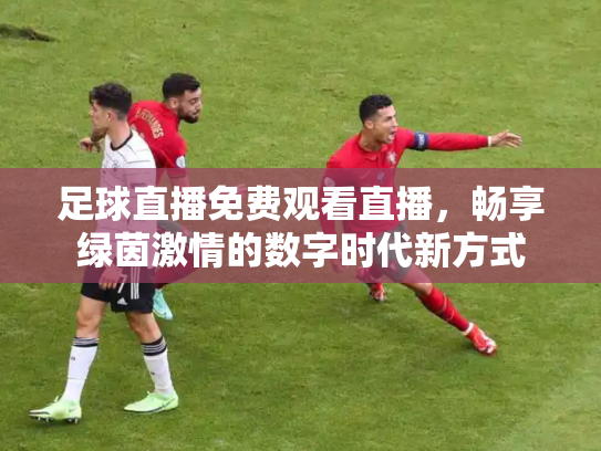足球直播免费观看直播，畅享绿茵激情的数字时代新方式
