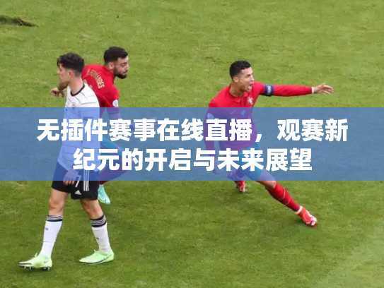 无插件赛事在线直播，观赛新纪元的开启与未来展望