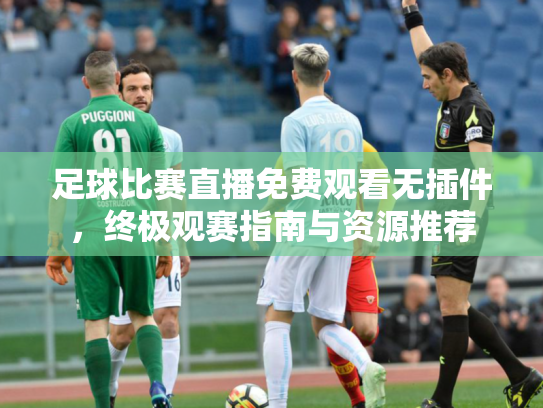 足球比赛直播免费观看无插件，终极观赛指南与资源推荐