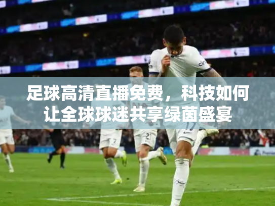 足球高清直播免费，科技如何让全球球迷共享绿茵盛宴