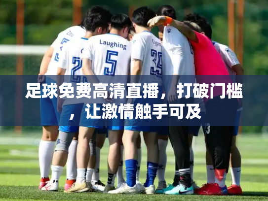 足球免费高清直播，打破门槛，让激情触手可及