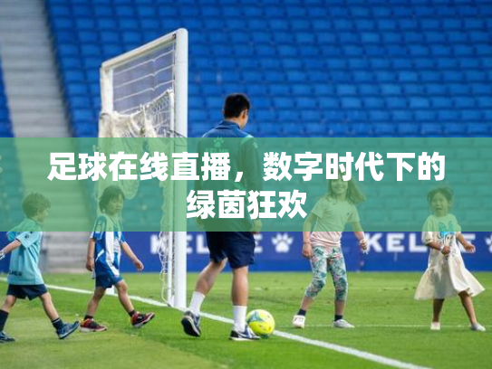 足球在线直播，数字时代下的绿茵狂欢
