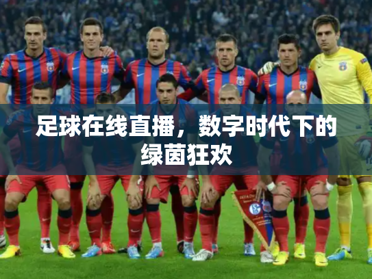足球在线直播，数字时代下的绿茵狂欢