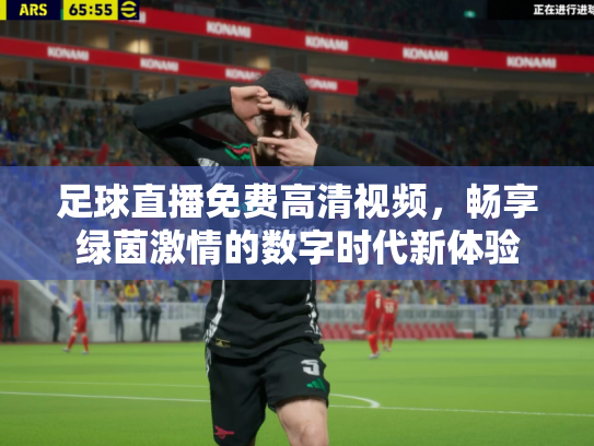 足球直播免费高清视频，畅享绿茵激情的数字时代新体验
