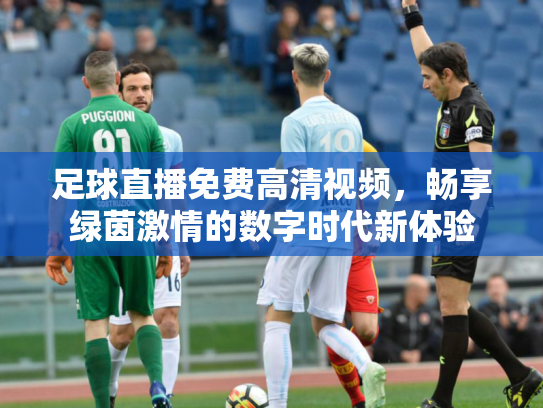 足球直播免费高清视频，畅享绿茵激情的数字时代新体验