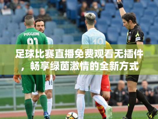 足球比赛直播免费观看无插件，畅享绿茵激情的全新方式