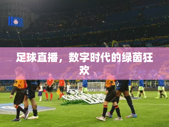 足球直播，数字时代的绿茵狂欢