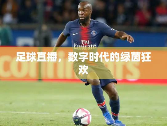 足球直播，数字时代的绿茵狂欢