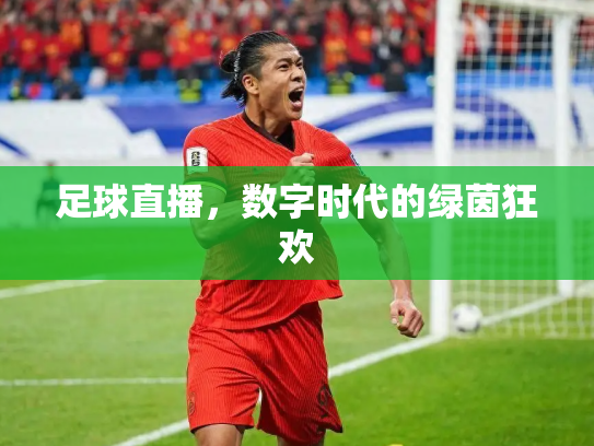 足球直播，数字时代的绿茵狂欢