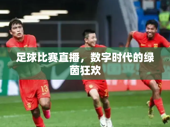 足球比赛直播，数字时代的绿茵狂欢