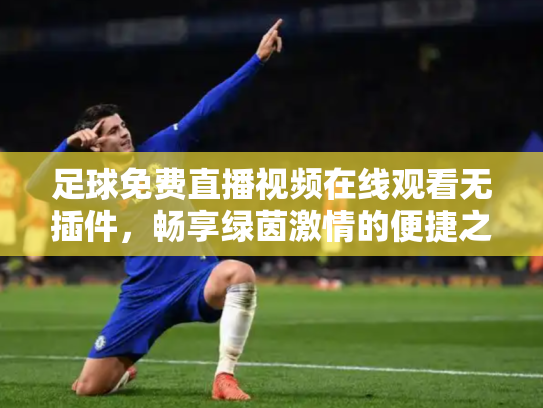 足球免费直播视频在线观看无插件，畅享绿茵激情的便捷之道
