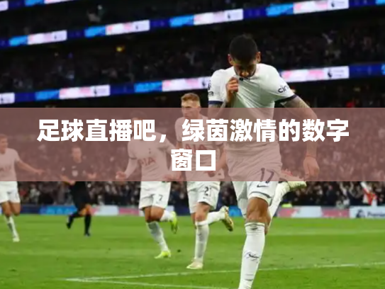 足球直播吧，绿茵激情的数字窗口