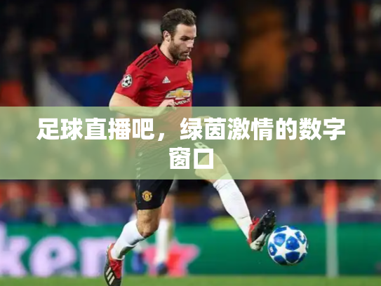 足球直播吧，绿茵激情的数字窗口