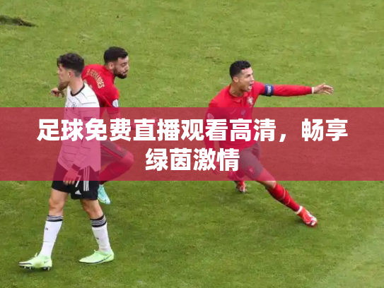 足球免费直播观看高清，畅享绿茵激情