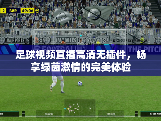 足球视频直播高清无插件，畅享绿茵激情的完美体验