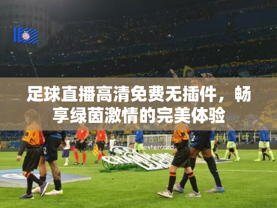 足球直播高清免费无插件，畅享绿茵激情的完美体验