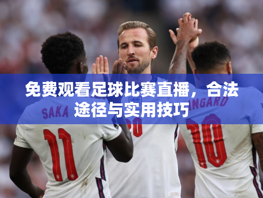免费观看足球比赛直播，合法途径与实用技巧
