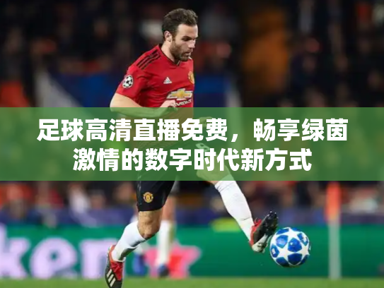 足球高清直播免费，畅享绿茵激情的数字时代新方式