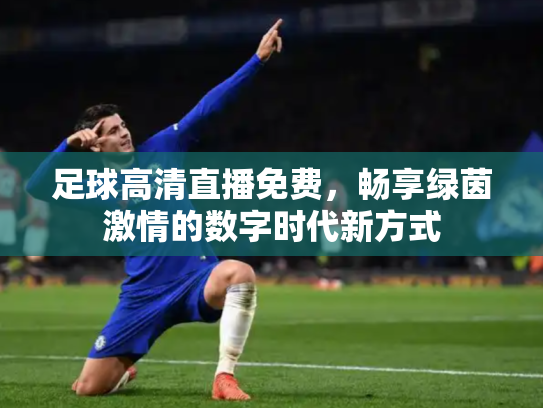 足球高清直播免费，畅享绿茵激情的数字时代新方式