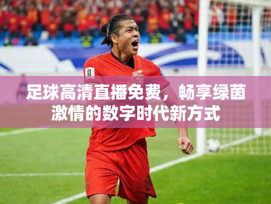 足球高清直播免费，畅享绿茵激情的数字时代新方式