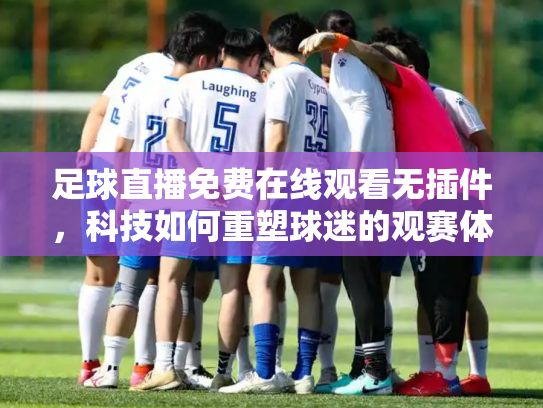 足球直播免费在线观看无插件，科技如何重塑球迷的观赛体验
