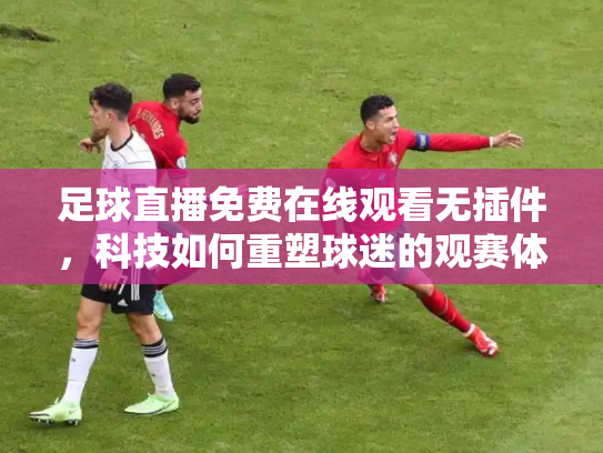 足球直播免费在线观看无插件，科技如何重塑球迷的观赛体验