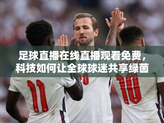 足球直播在线直播观看免费，科技如何让全球球迷共享绿茵激情