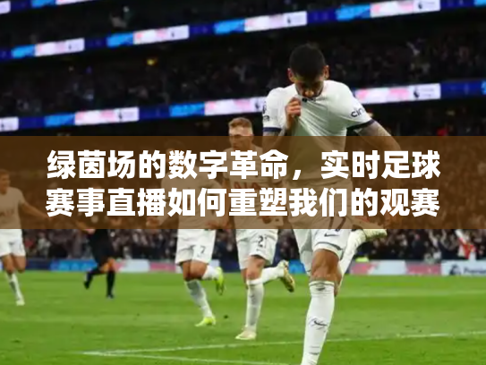 绿茵场的数字革命，实时足球赛事直播如何重塑我们的观赛体验