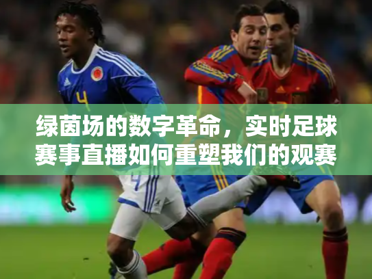绿茵场的数字革命，实时足球赛事直播如何重塑我们的观赛体验