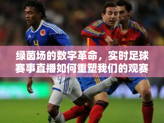 绿茵场的数字革命，实时足球赛事直播如何重塑我们的观赛体验