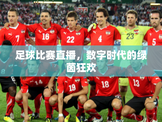 足球比赛直播，数字时代的绿茵狂欢
