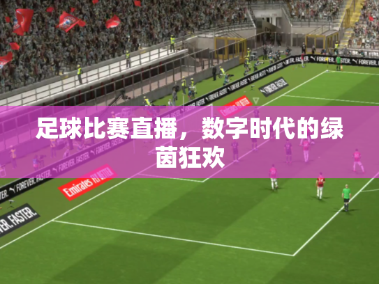 足球比赛直播，数字时代的绿茵狂欢