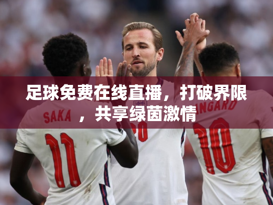 足球免费在线直播，打破界限，共享绿茵激情