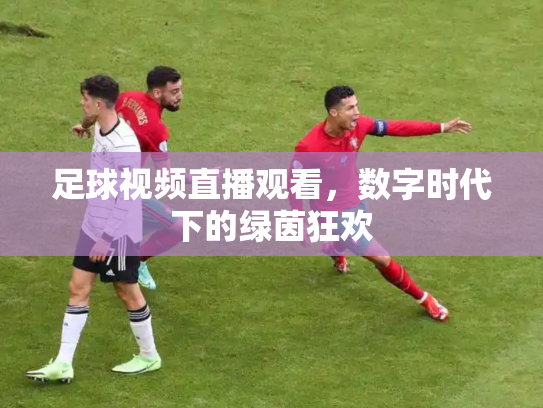 足球视频直播观看，数字时代下的绿茵狂欢