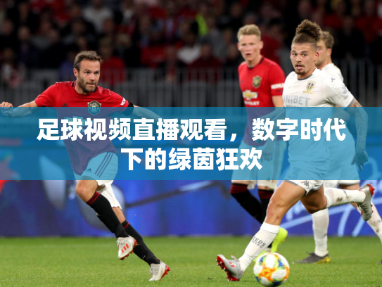 足球视频直播观看，数字时代下的绿茵狂欢