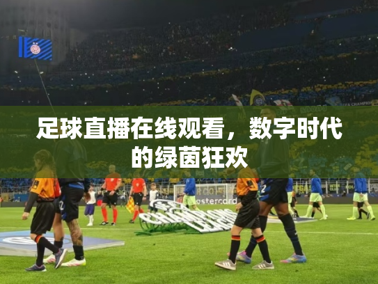 足球直播在线观看，数字时代的绿茵狂欢