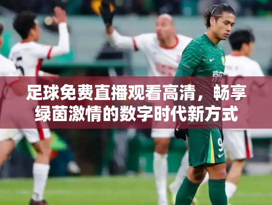 足球免费直播观看高清，畅享绿茵激情的数字时代新方式