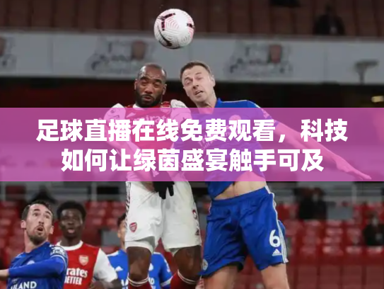 足球直播在线免费观看，科技如何让绿茵盛宴触手可及