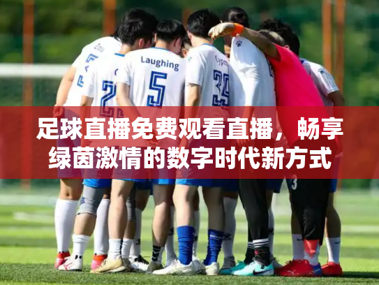 足球直播免费观看直播，畅享绿茵激情的数字时代新方式