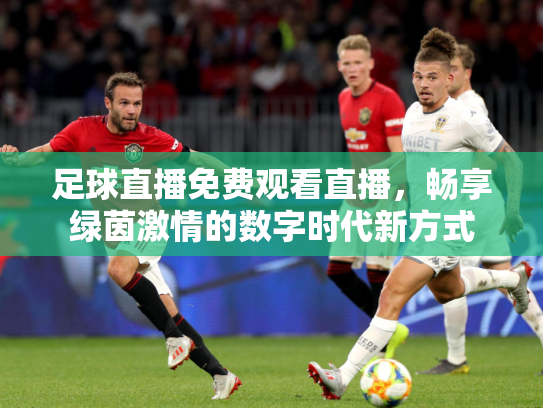 足球直播免费观看直播，畅享绿茵激情的数字时代新方式