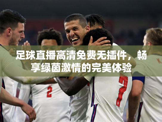 足球直播高清免费无插件，畅享绿茵激情的完美体验