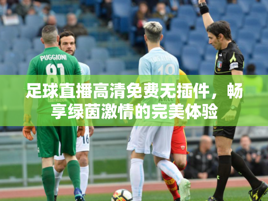 足球直播高清免费无插件，畅享绿茵激情的完美体验