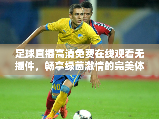 足球直播高清免费在线观看无插件，畅享绿茵激情的完美体验