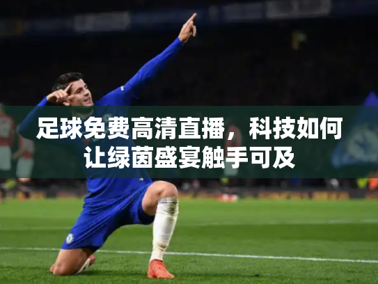 足球免费高清直播，科技如何让绿茵盛宴触手可及