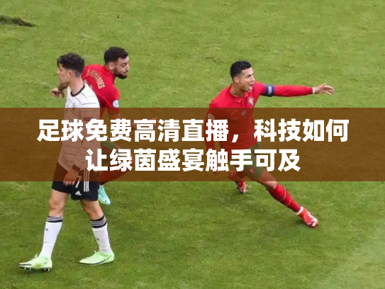 足球免费高清直播，科技如何让绿茵盛宴触手可及